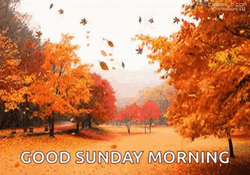 Good Happy Fall Sunday Morning GIF