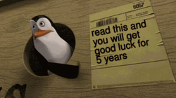 Good Luck For 5 Years Kowalski