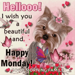 Good Monday Morning Beautiful Dog GIF
