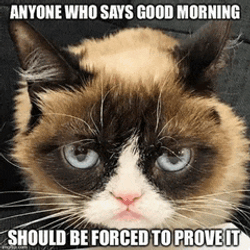 Good Morning 2024 Meme GIF