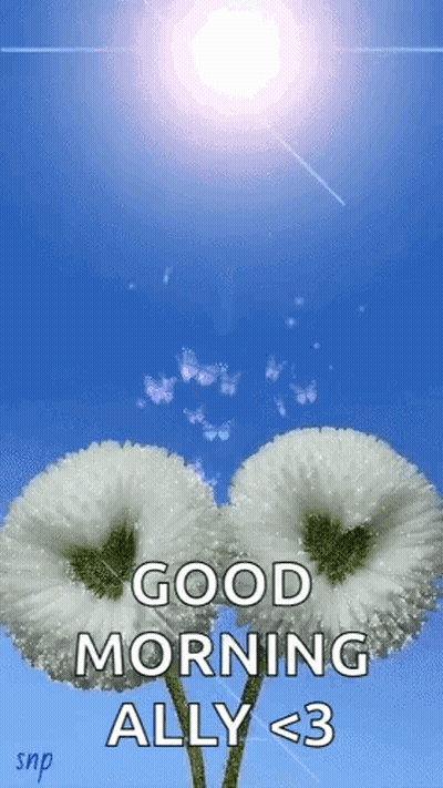 Good Morning Ally Greeting Card With White Flowers And Butterflies GIF