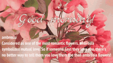 Good Morning Ambrosia Flowers Swaying In The Wind GIF