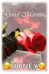 Good Morning Animated Blooming Rose GIF