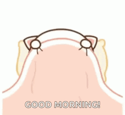 Good Morning Animated Peeking Kitty GIF