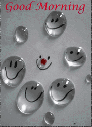 Good Morning Animated Rain Drop GIF