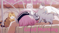 Good Morning Anime Cats Waking Up Alert