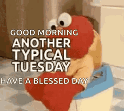 Good Morning Another Typical Tuesday GIF