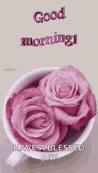 Good Morning August Cup Of Flowers GIF