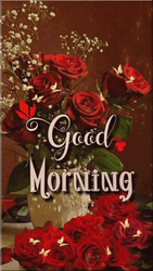 Good Morning August Red Roses GIF