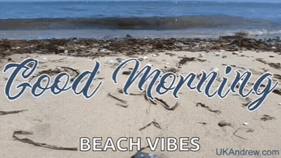 Good Morning Beach Vibes Beach GIF