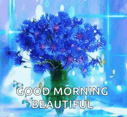 morning beautiful