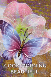 Good Morning Beautiful Butterfly GIF