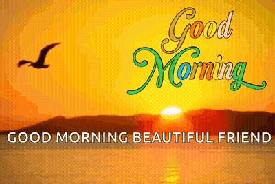 Good Morning Beautiful Friend With Bird Over Ocean GIF
