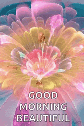 Good Morning Beautiful Glowing Flower  GIF