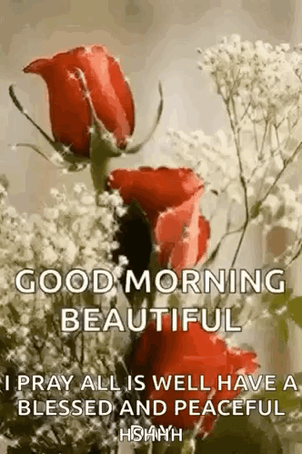 Good Morning Beautiful , I Pray All Is Well , Have A Blessed And Peaceful Day . GIF