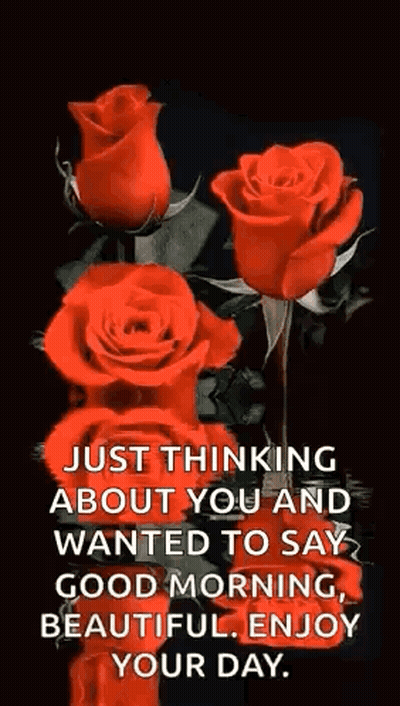 Good Morning Beautiful Red Roses On Black Background GIF