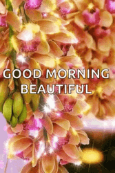 Good Morning Beautiful Sparkling Flowers GIF