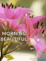 Good Morning Beautiful Sparkling Lily Flowers GIF