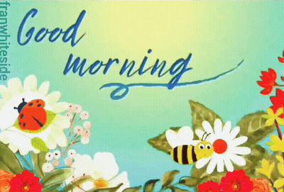 Good Morning Bee Butterfly And Ladybug GIF
