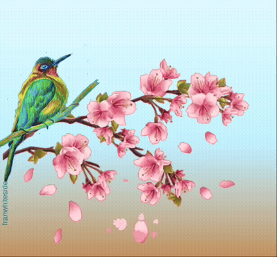 Good Morning Bird In Cherry Tree GIF