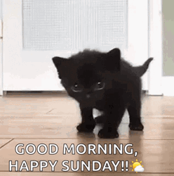 Good Morning Black Sunday GIF