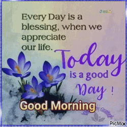 Good Morning Blessing Purple Flower GIF