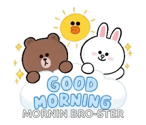 Good Morning Brother Brown Cony Sally Line Friends GIF