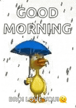 Good Morning Brother Duck With Umbrella GIF