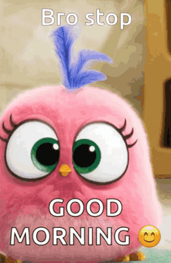 Good Morning Brother Pink Angry Bird Spinning GIF