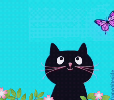 Good Morning Card With Black Cat And Butterfly GIF