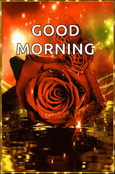 Good Morning Card With Red Rose And Butterfly GIF
