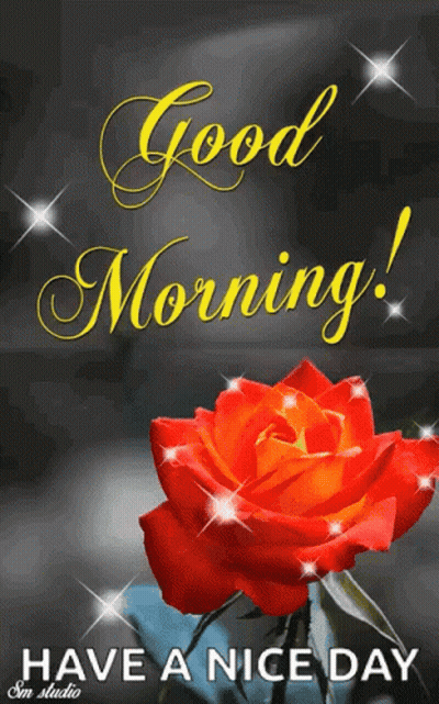 Good Morning Card With Red Rose GIF