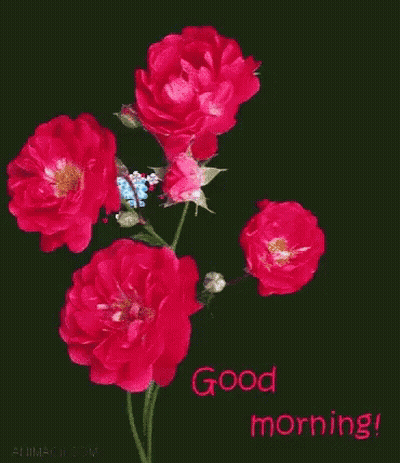 Good Morning Card With Red Roses And Blue Flowers GIF