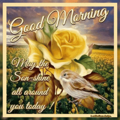 Good Morning Card With Yellow Rose and Bird