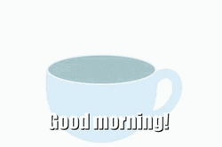 Good Morning Cat In Cup GIF