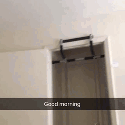 Good Morning Cat Peek GIF