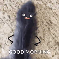 Good Morning Cat Wag Tail GIF
