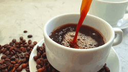 Good Morning Coffee Beans GIF