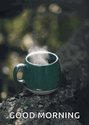 Good Morning Coffee Hot Smoking Tree Nature GIF