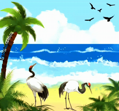 Good Morning Cranes On Beach GIF