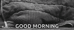 Good Morning Cute Kitty GIF
