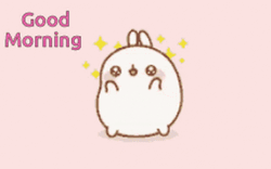 Good Morning Cute Mochi Bunny GIF