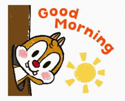 Good Morning Cute Squirrel GIF