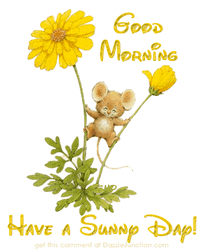 Good Morning Darling Rise And Shine GIF