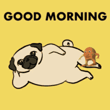 Good Morning Dog Exercising GIF