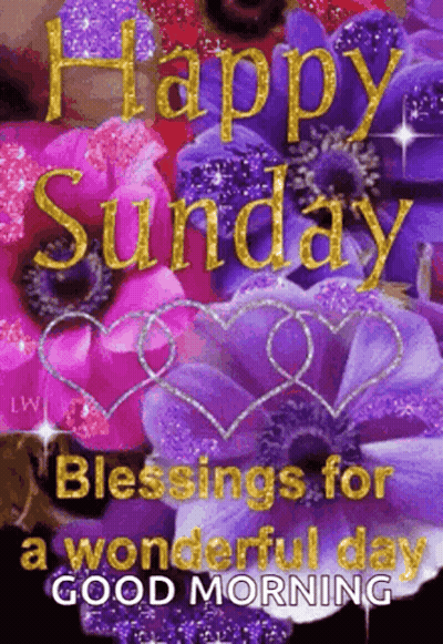 Good Morning Enjoy Happy Sunday Card Flowers Butterflies GIF