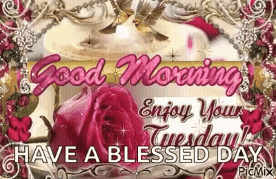 Good Morning Enjoy Your Tuesday GIF