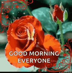 Good Morning Everyone Rose And Butterfly GIF