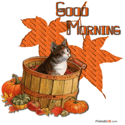Good Morning Fall Animated Cat In Barrel Art