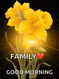 Good Morning Family GIF